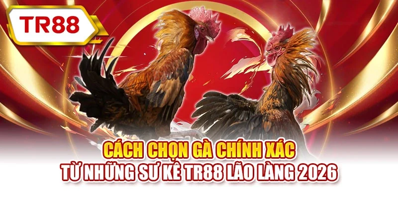 Cách chọn gà
