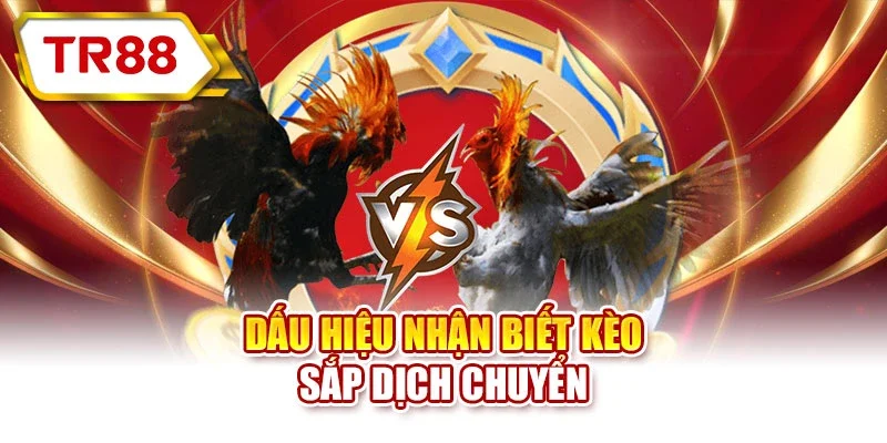 Dấu hiệu nhận biết kèo sắp dịch chuyển