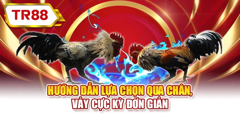 Hướng dẫn lựa chọn qua chân, vảy cực kỳ đơn giản