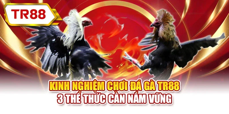 Kinh nghiệm chơi
