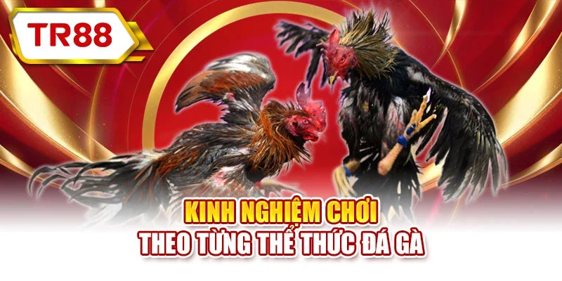 Kinh nghiệm chơi theo từng thể thức đá gà