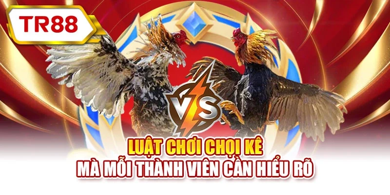 Luật chơi chọi kê mà mỗi thành viên cần hiểu rõ