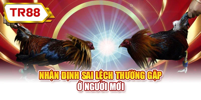 Nhận định sai lệch thường gặp ở người mới