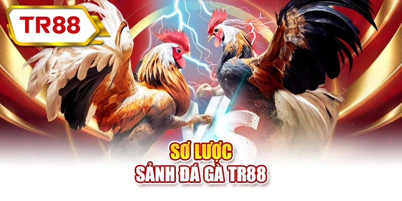 Sơ lược sảnh đá gà TR88