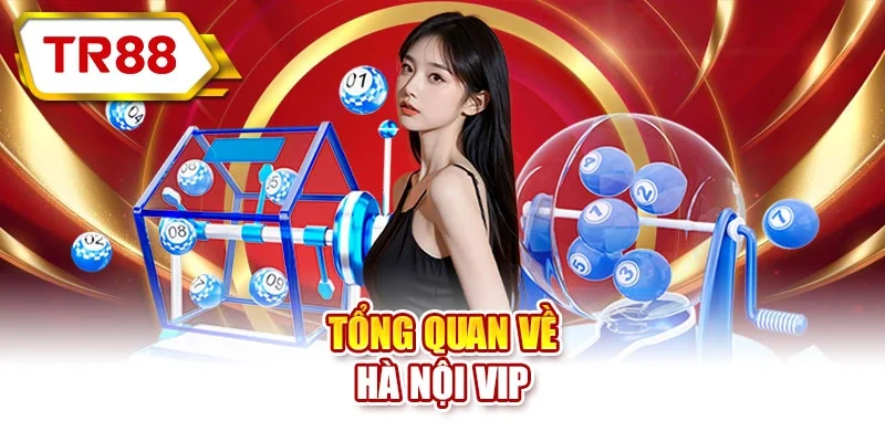 Tổng quan về Hà Nội Vip