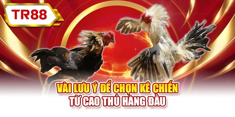 Vài lưu ý để chọn kê chiến từ cao thủ hàng đầu